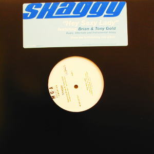 iڍ F SHAGGY FEAT. BRIAN & TONY GOLD(12) HEY SEXY LADY