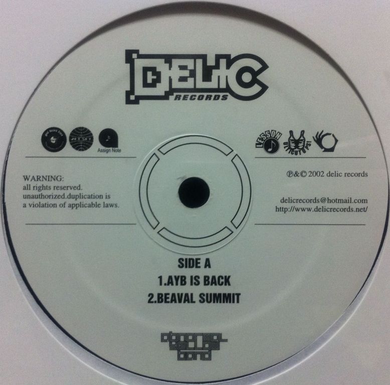 商品詳細 ： 【中古・USED】ABNORMAL YELLOW BAND(12) AYB IS BACK