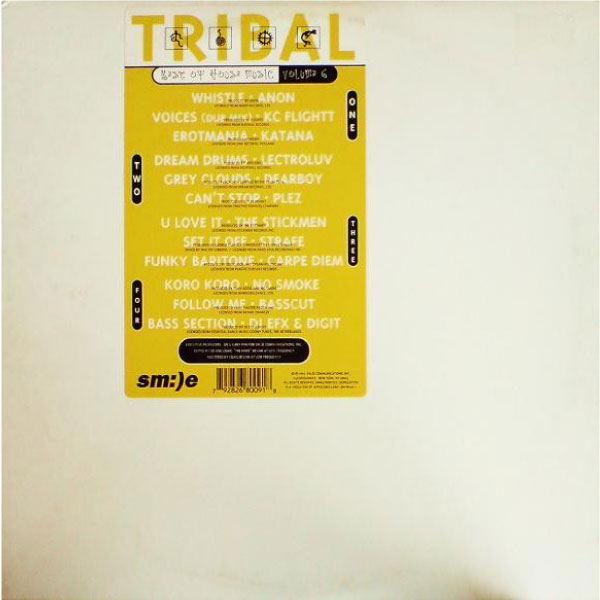 iڍ F yÁEUSEDzV.A (2LP) TRIBAL BEST OF HOUSE MUSIC VOL.6 