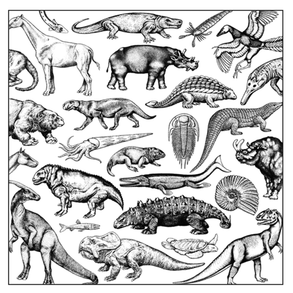 iڍ F yCut & Paste RecordsVXNb`c[ &  r[gAozMoschops(LP) Skratch Fossils