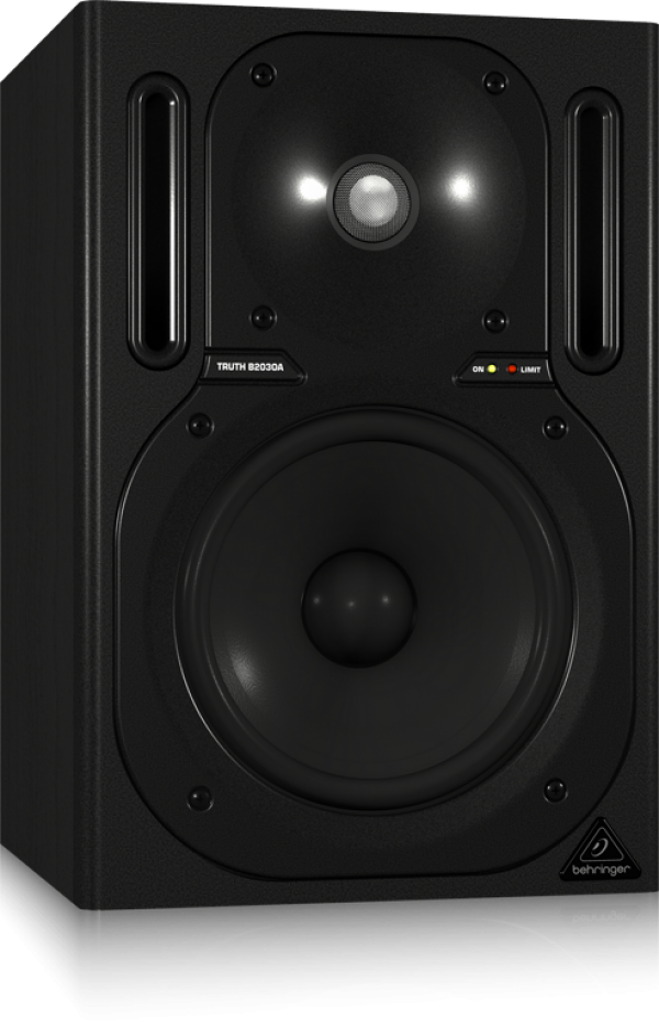 BEHRINGER(ベリンガー) B2030A TRUTH