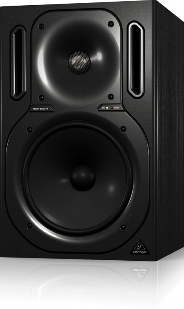 BEHRINGER(ベリンガー) B2031A TRUTH