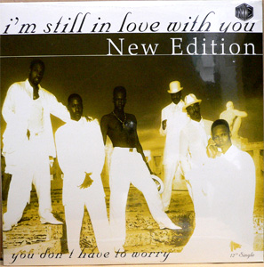 激レア盤 I'm Still In Love With You 日本語カバー収録 NEW EDITION(12) I'M STILL IN LOVE WITH YOU -DJ機材アナログレコード