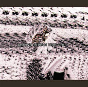 商品詳細 ： BROWN(CD) INDIAN TRIP CHIP