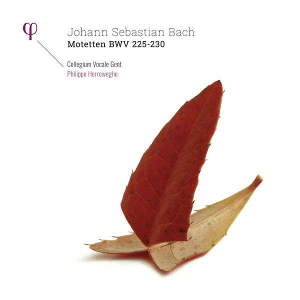 iڍ F ydlR[hZ[!60%OFF!zJohann Sebastian Bach, Collegium Vocale, Philippe Herreweghe (2LP) Motetten BWV 225 - 230