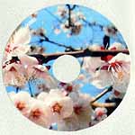 商品詳細 ： EPハリハリくん/さくら 