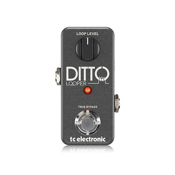 iڍ F TC Electronic/[p[y_/DITTO LOOPER