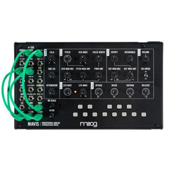 iڍ F Moog/Z~W[VZTCU[/Mavis