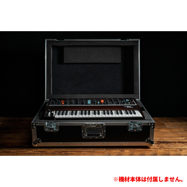 iڍ F moog/Minimoog Model DpP[X/MINIMOOG MODEL D ATA ROAD CASE