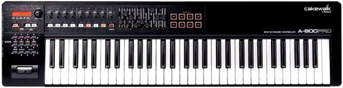 iڍ F Roland/MIDI KEYBORD CONTOLLER/A-800PRO-R  tunecore`PbgtI