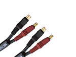 iڍ F MONSTER CABLE/Xs[J[P[u/P500-SCJ-0.5M(ComboAmppj t@XgRlN^[-t@XgRlN^[