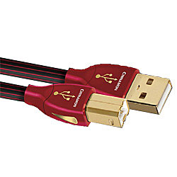 オーディオクエスト audioquest USB2 cinnamon 1.5m