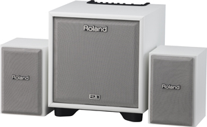 iڍ F Roland/2.1`lEj^[EVXe/CM-110 WH 