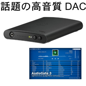 iڍ F KORG/DAC/I[fBIC^[tF[X/DS-DAC-100m