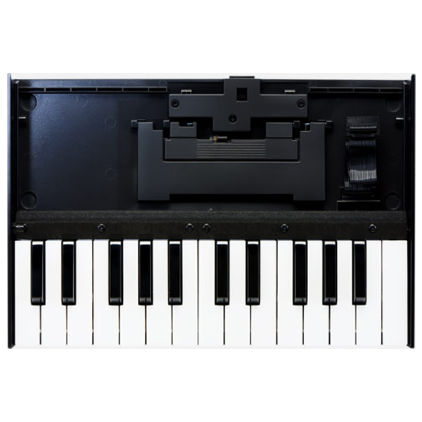 iڍ F ROLAND/L[{[h/Roland Boutique K-25mtunecore`PbgtI