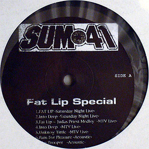 iڍ F SUM41<LP>/Fat Lip Special