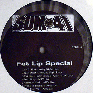 商品詳細 ： SUM41<LP>/Fat Lip Special
