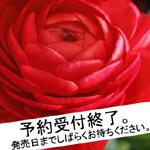 商品詳細 ： RAM RIDER(12) RAM RIDER EP