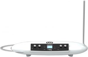 THEREMINI