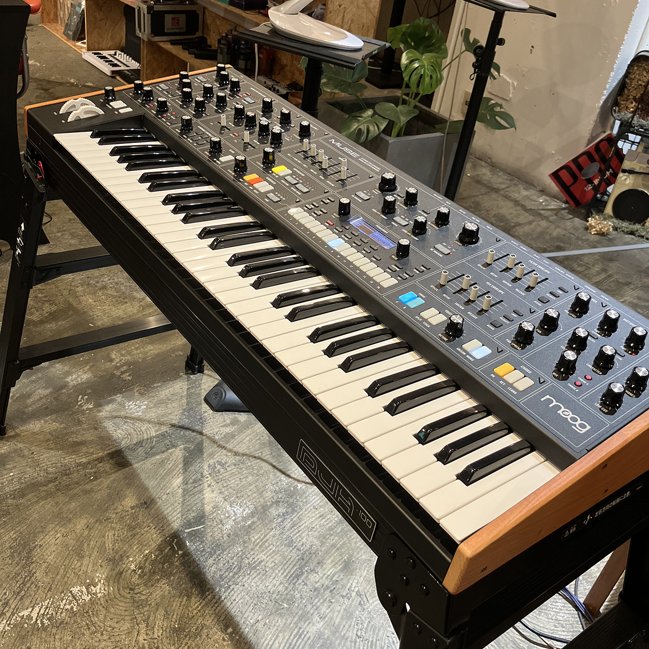 moog Muse blog thumbnail