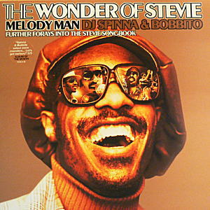 iڍ F DJ SPINNA & BOBBITO(12) THE WONDER OF STEVIE-MELODY MAN-