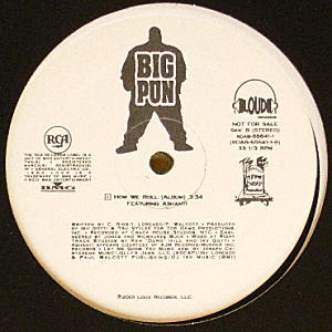 iڍ F yZ[zBIG PUN FEAT. ASHANTI(12) HOW WE ROLL