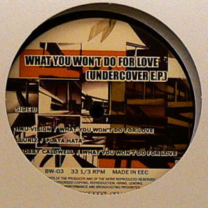iڍ F V.A.(12) WHAT YOU WON'T DO FOR LOVE (UNDERCOVER E.P.)