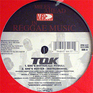 iڍ F T.O.K FEAT. PITBULL.(12) SHE'S HOTTER