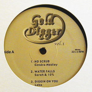iڍ F V.A.(12) GOLD DIGGER VOL.1