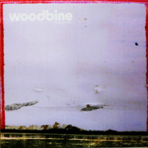 iڍ F WOODBINE(LP) BEST BEFORE END