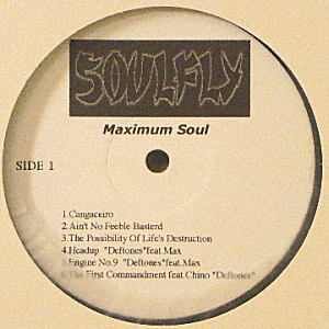 iڍ F SOULFLY/Maximum Soul
