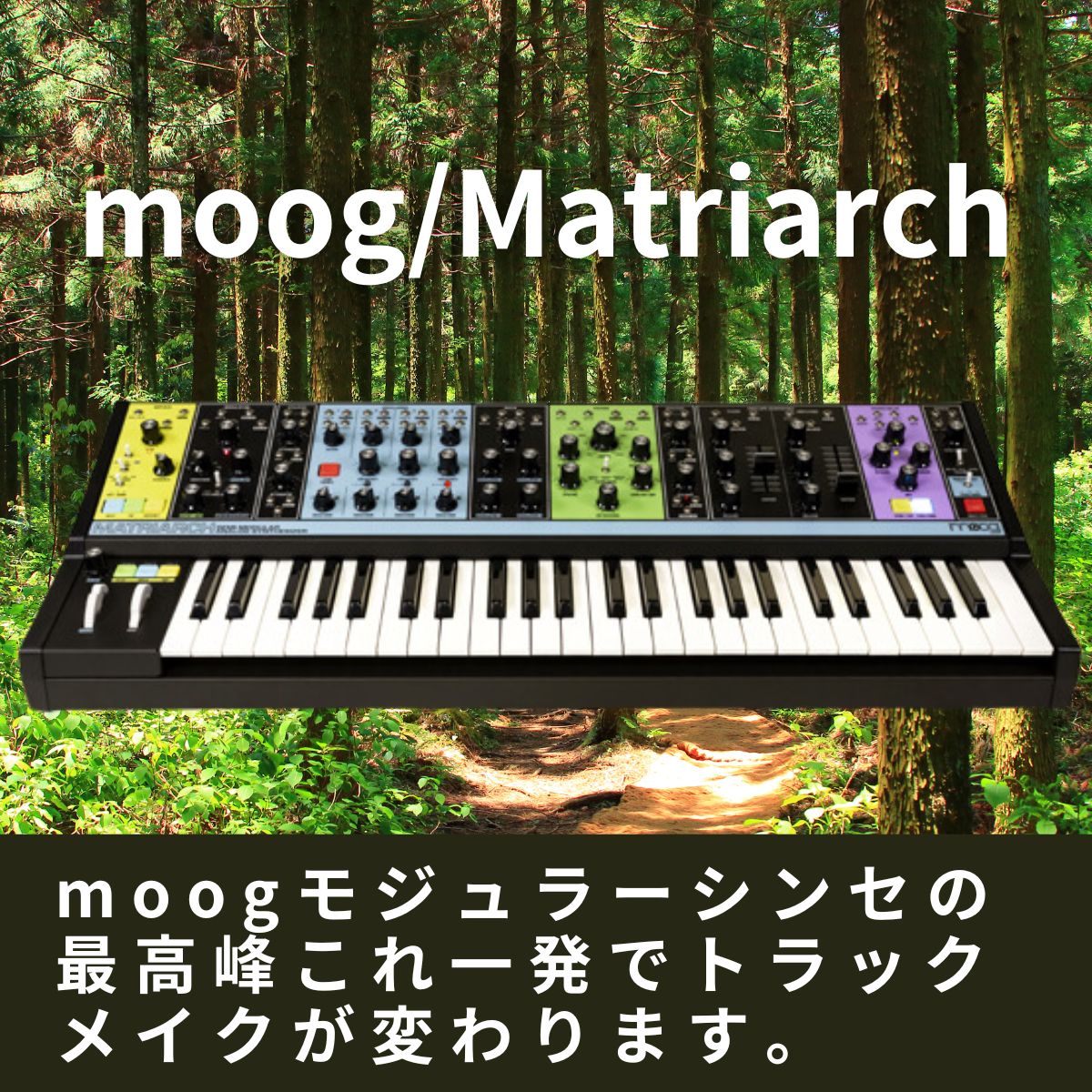 moog Matriarch