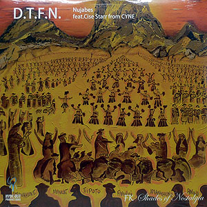 iڍ F NUJABES FT. CISE STAR (CYNE)(12) D.T.F.N. / SHADES OF NOSTARGIA