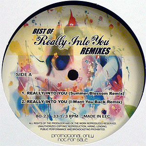 iڍ F AROUND THE WAY(12) BEST OF REALLY INTO YOU REMIXES