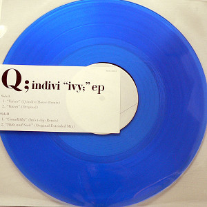 iڍ F Q:INDIVI(12) IVY;EP yՂ̍ēׁIz