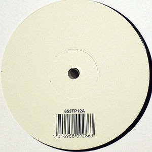 商品詳細 ： BJORK(12) WONDERLUST (MATTHEW HERBERT REMIX)