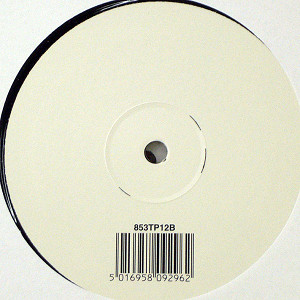 商品詳細 ： BJORK(12) WONDERLUST (RATATAT REMIX)