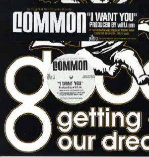商品詳細 ： COMMON FEAT. WILL I AM(12) I WANT YOU [B級品]