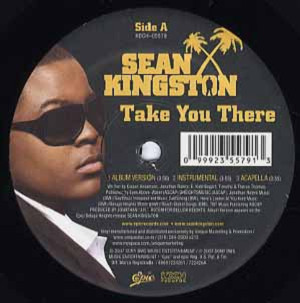 商品詳細 ： SEAN KINGSTON(12) TAKE YOU THERE