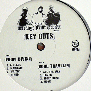 商品詳細 ： STRANGE FRUIT PROJECT(LP) KEY CUTS 【お一人様、一枚限り！！】