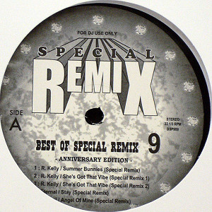 商品詳細 ： V.A(12) BEST OF SPECIAL REMIX VOL.9