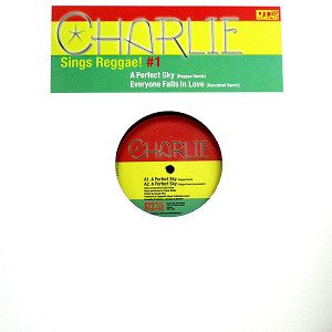 商品詳細 ： CHARLIE(12) A PERFECT SKY (REGGAE REMIX)