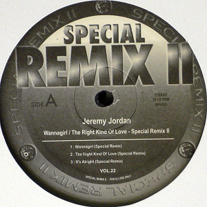 SPECIAL REMIX レコードセット　レア JEREMY JORDAN(12) WANNAGIRL SPECIAL REMIX -DJ機材アナログレコード