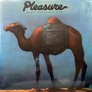 Pleasure Dust Yourself Off レコード lp PLEASURE(LP) DUST YOURSELF OFF -DJ機材アナログレコード専門店