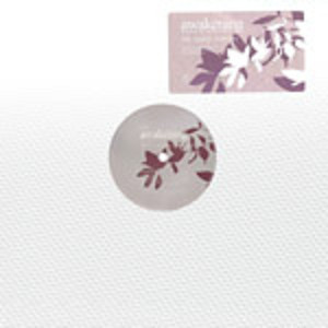 商品詳細 ： FRANCOIS K.(12) AWAKENING (NEEDS REMIXES)