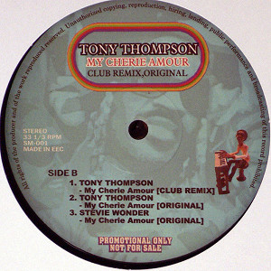 iڍ F STEVIE WONDER / TONY THOMPSON(12) MY CHERIE AMOUR REMIX