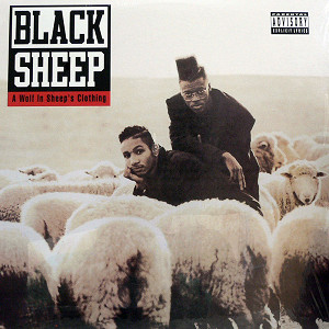 BLACK SHEEP LP2枚セット BLACK SHEEP(LP) A WOLF IN SHEEP'S CLOTHING -DJ機材アナログレコード