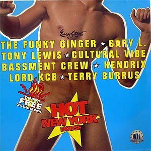 商品詳細 ： 【USED RECORD WINTER 50%OFF SALE!】【USED】V.A.(12×2)HOT NEW YORK HOUSE