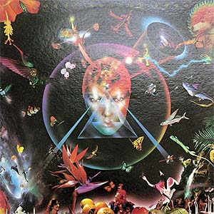 商品詳細 ： 【USED】INFINITE COSMOS TRAVEL (12) SPACE WALKIN