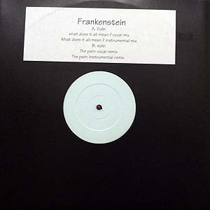 商品詳細 ： FEANKENSTEIN(12) WHAT DOES IT ALL MEAN?/THE PAIN
